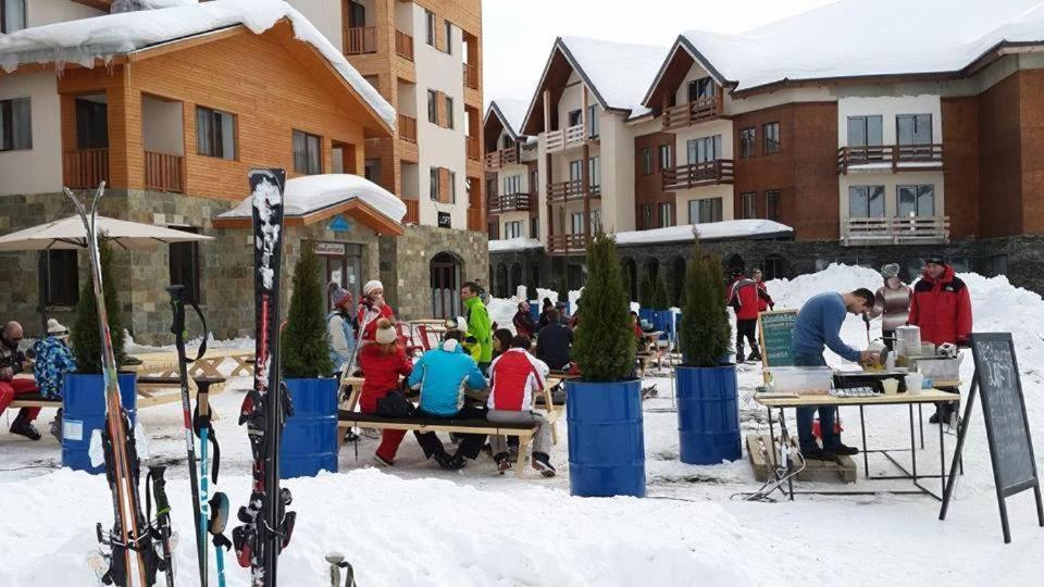 Panorama Apartments New Gudauri Εξωτερικό φωτογραφία